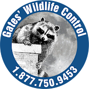 Gates Wildlife Control