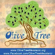 The Olive Tree Messianic Fellowship