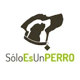 Solo Es Un PERRO