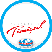 Ansamblul Timisul