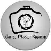 Cattle Market Karachi