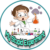 My Stupid Experiment
