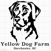 Yellow Dog Farm
