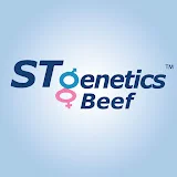 STgenetics Beef