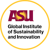 Global Institute of Sustainability and Innovation