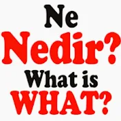 Ne Nedir?