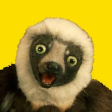 Zoboomafoo - WildBrain