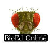 BioEd Online