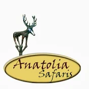 Anatolia Safari