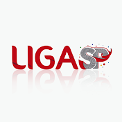 Liga Carnaval SP - Oficial