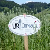 UrDinkel PurEpeautre