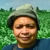 Sudaryono al blitari