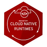 Cloud-Native Development