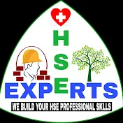 HSE Experts