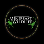 Minibeast Wildlife