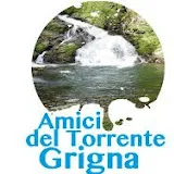 Amici Torrente Grigna