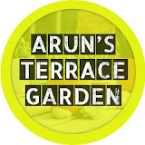 Arun's terrace garden