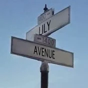 TheLilyAvenue