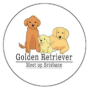 GoldenRetriever Meetupbrisbane