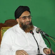 Molana Zulfaqar Ali