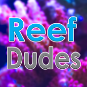 ReefDudes