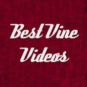 Best Vine Videos