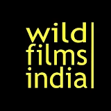 WildFilmsIndia