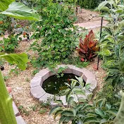 Tiny Backyard Food Forest