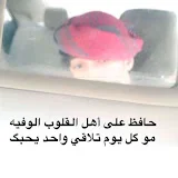 حمود الفضلي