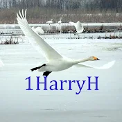 1HarryH