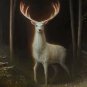 White Deer - گوزن سفید