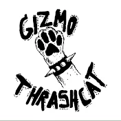 Gizmo Thrash Cat