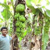 Sahakar Agro India