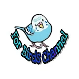 For birds channel