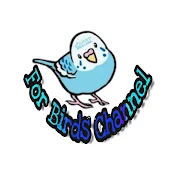For birds channel