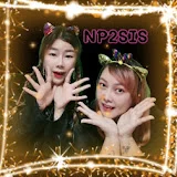 NP2SIS