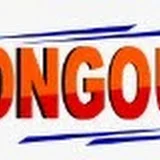 DONGOUR TV CHANNEL