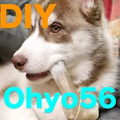 Ohyo56