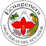 Ecuagenera Orquideas del Ecuador