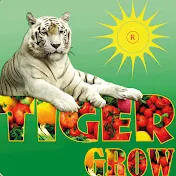 Tiger Grow