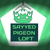 Sayyed Pigeon Loft
