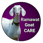 RAMAWAT Goat Care