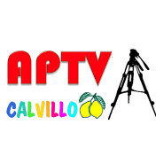 APTV De Calvillo