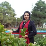 elham kondori nejad