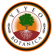 Yeyeo Botanica