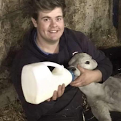 Jack at Mainsgill Farm