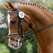 Master Dressage