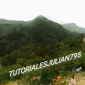 Tutoriales Julian 795