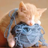 Knitting Lessons