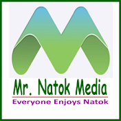 Mr. Natok Media